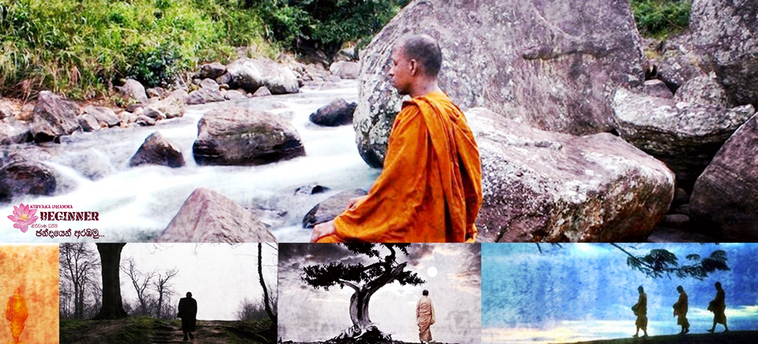 An Ascetic – The Fourth Sight