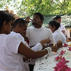 2015 Feb - Maradana, Colombo